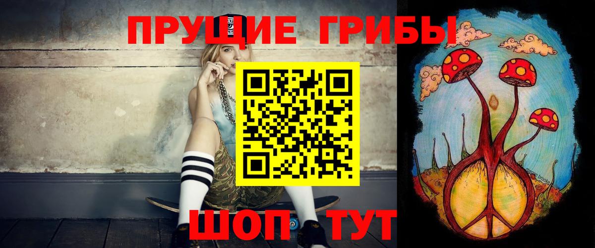 Галлюциногенные грибы Psilocybe Ангарск